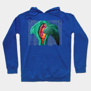 Animalcule Hoodie